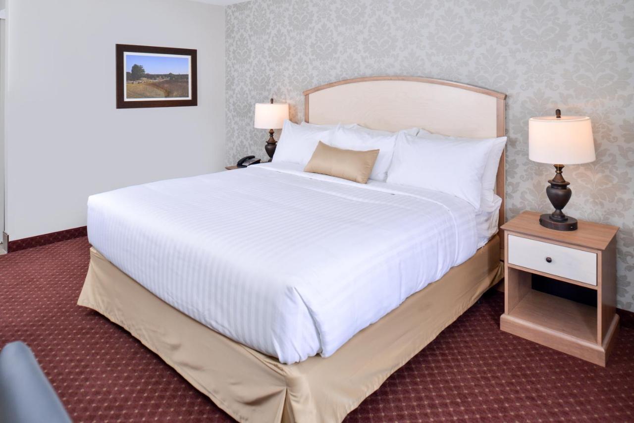 Appomattox Inn&Suites Extérieur photo